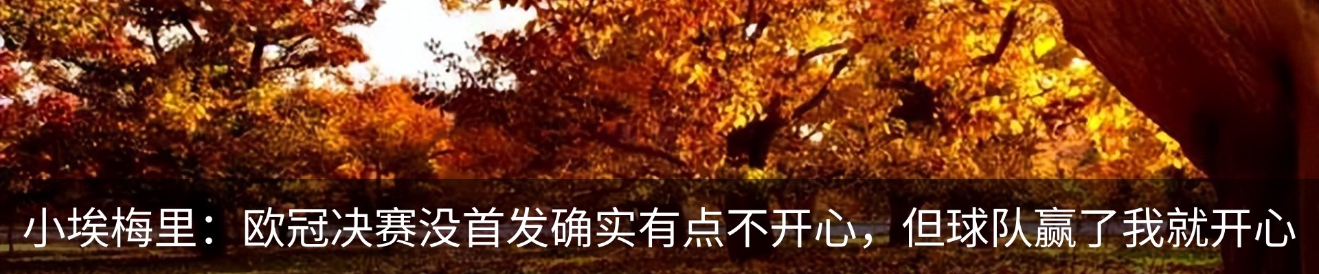 内页banner