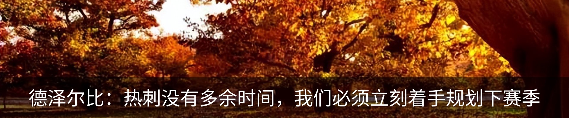 内页banner